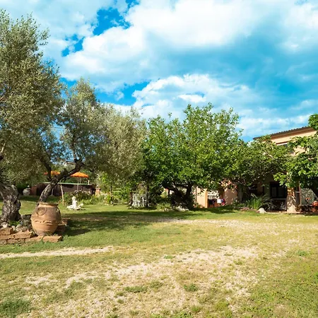 Elster-1 By Interhome Apartment Collecorvino